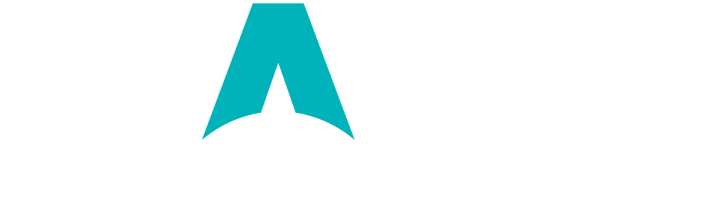 Dash Digital Logo Reverse