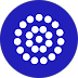 Communication and Marketing Lead